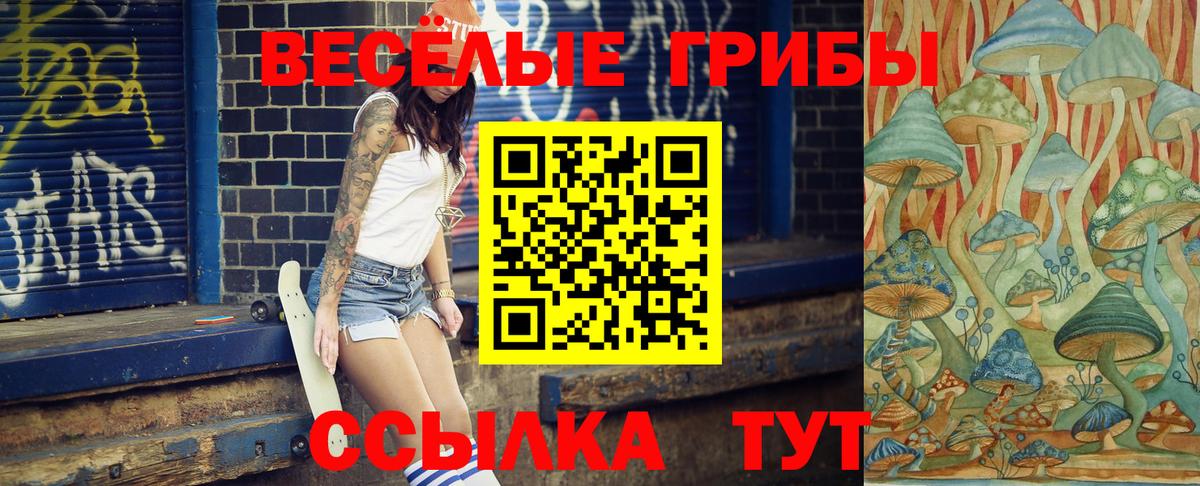Галлюциногенные грибы Psilocybe Черняховск