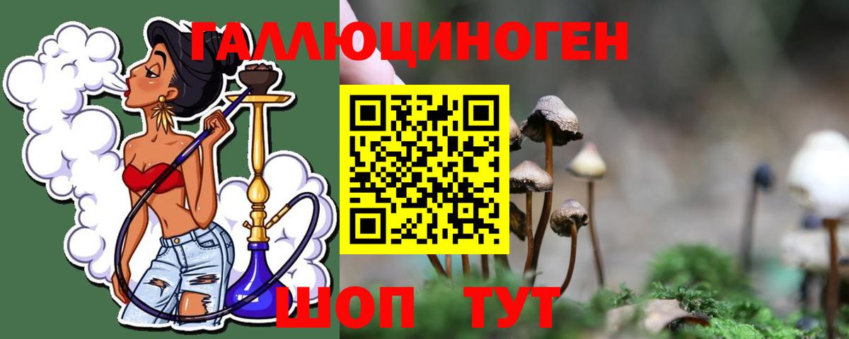 закладки  Псилоцибиновые грибы MAGIC MUSHROOMS  Галлюциногенные грибы ЛСД  Вход с VPN  Черняховск 