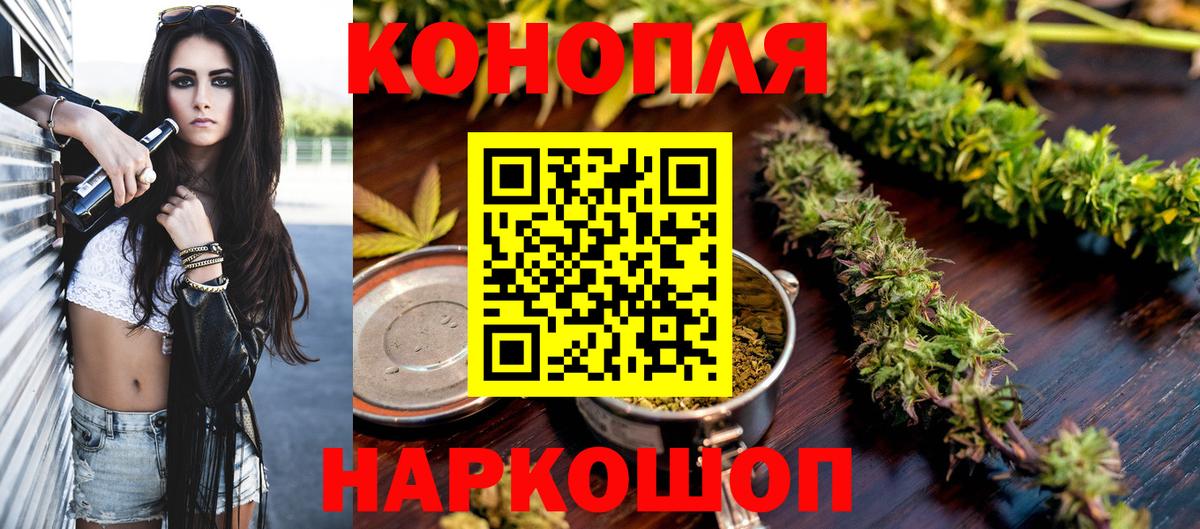 Бошки Шишки конопля Черняховск